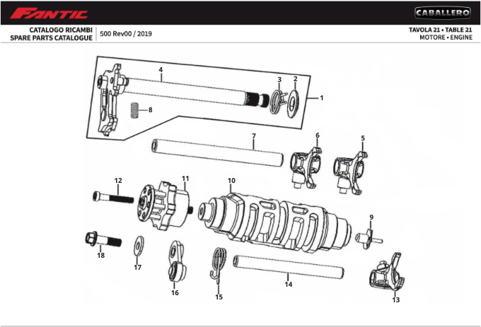 vFRzWV7bw8_21 - Moteur (CABALLERO 500 FLAT TRACK).png